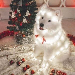 Meet your Posher, Charleigh-jean